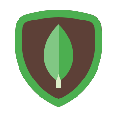 3 years of experience with MongoDB MongoDB